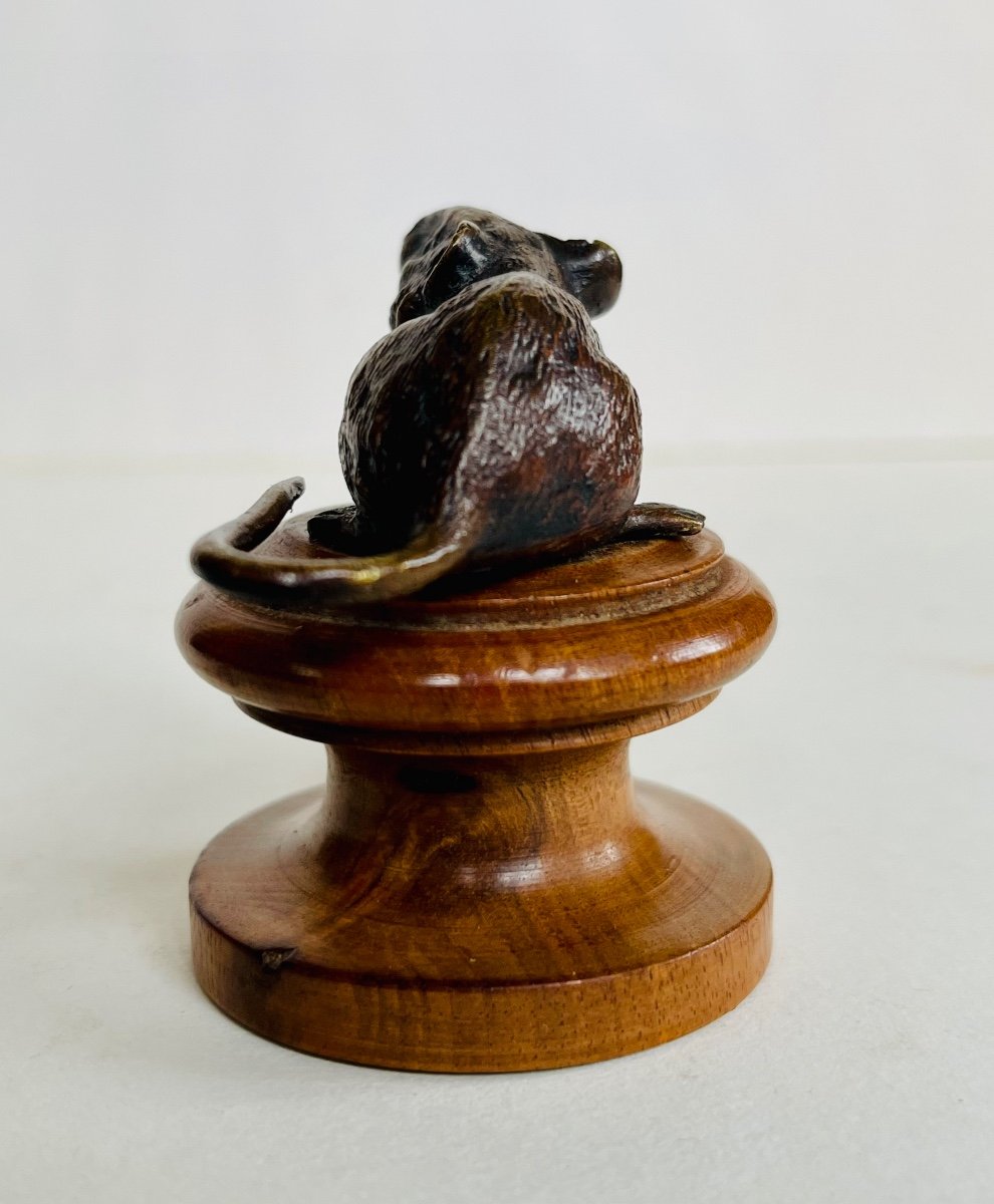 Souris Bronze De Vienne -photo-5